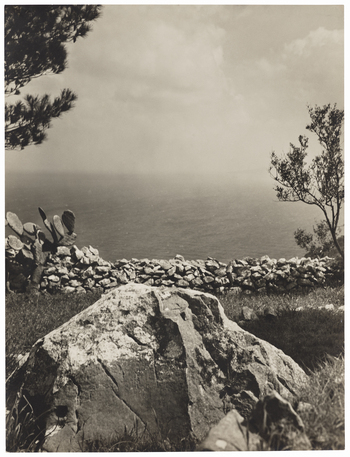 Fotograf: Neander, Hanna, Copyright: 1