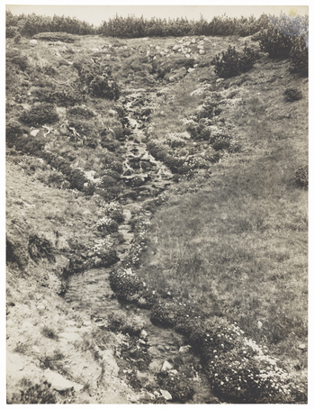 Fotograf: Neander, Hanna, Copyright: 1