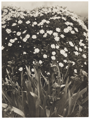 Fotograf: Neander, Hanna, Copyright: 1