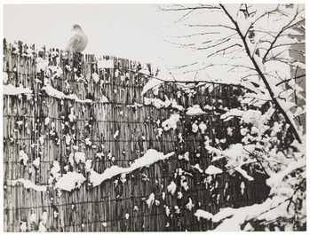 Fotograf: Neander, Hanna, Copyright: 1