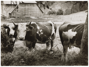 Fotograf: Neander, Hanna, Copyright: 1