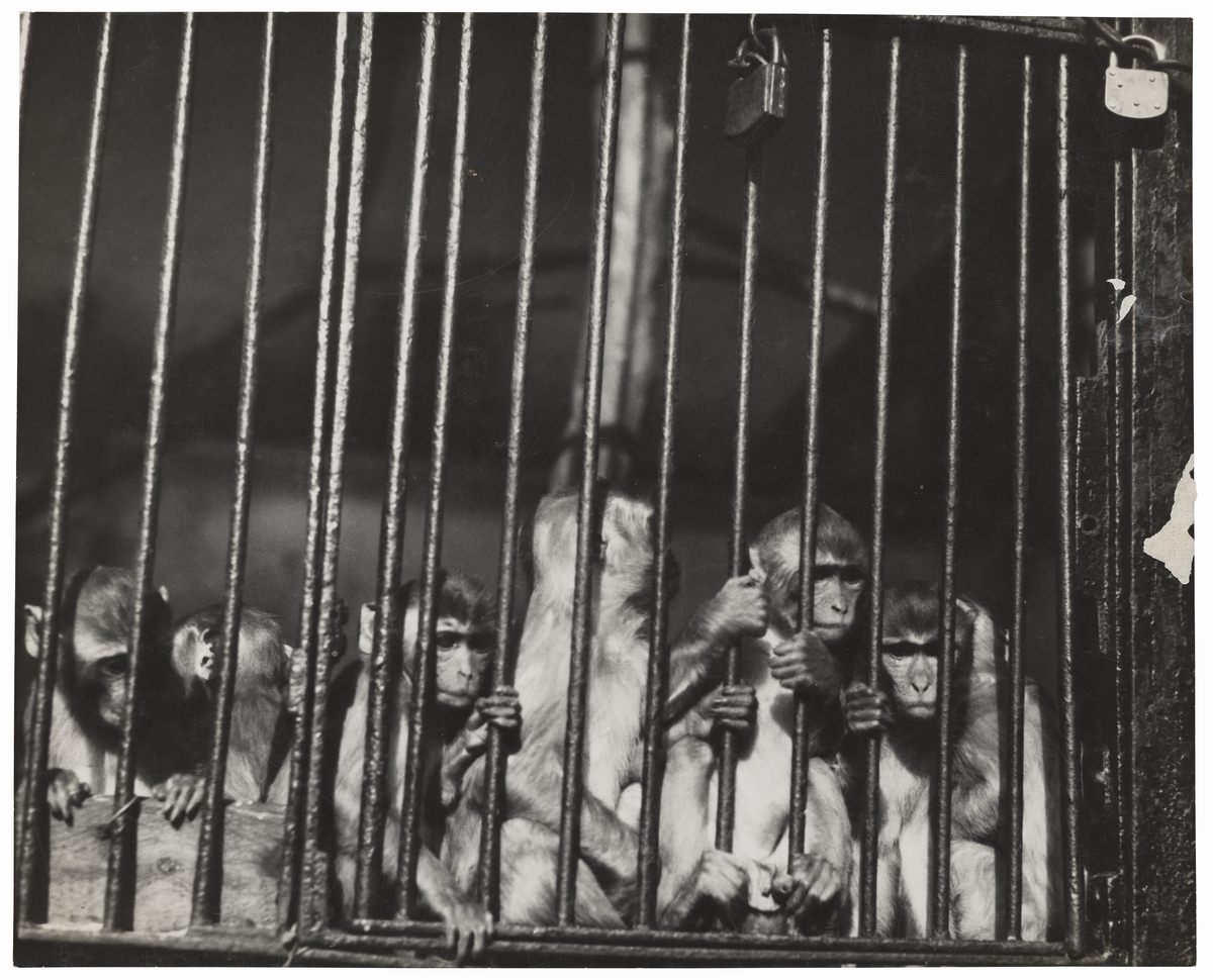 Fotograf: Neander, Hanna, Copyright: 1