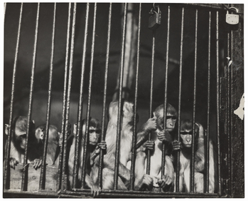 Fotograf: Neander, Hanna, Copyright: 1