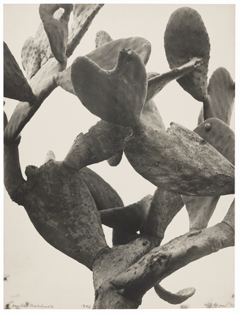 Fotograf: Neander, Hanna, Copyright: 1