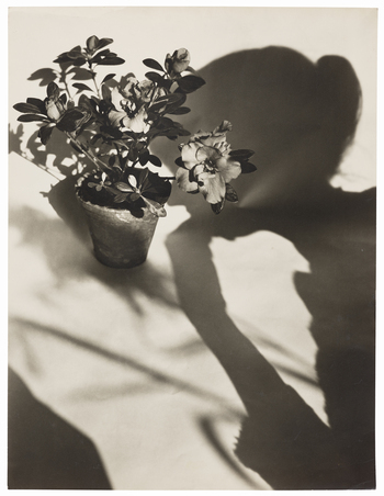 Fotograf: Neander, Hanna, Copyright: 1