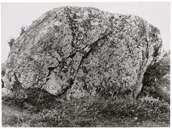 Fotograf: Neander, Hanna, Copyright: 1