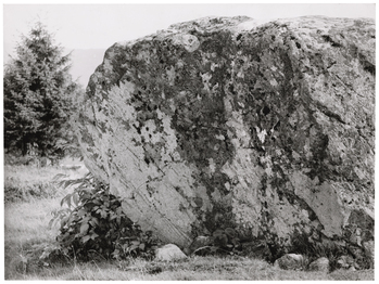 Fotograf: Neander, Hanna, Copyright: 1