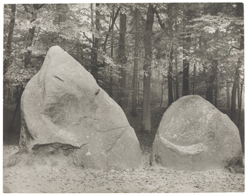 Fotograf: Neander, Hanna, Copyright: 1