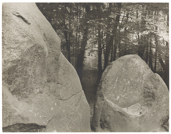 Fotograf: Neander, Hanna, Copyright: 1