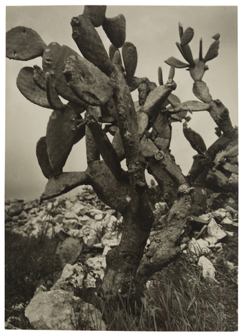 Fotograf: Neander, Hanna, Copyright: 1