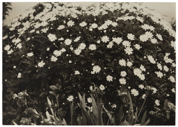 Fotograf: Neander, Hanna, Copyright: 1