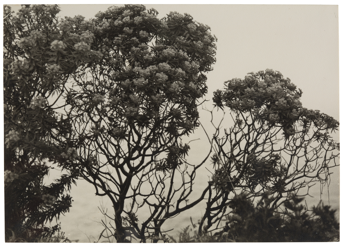 Fotograf: Neander, Hanna, Copyright: 1