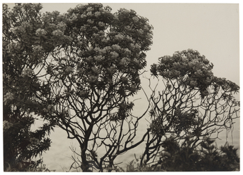 Fotograf: Neander, Hanna, Copyright: 1