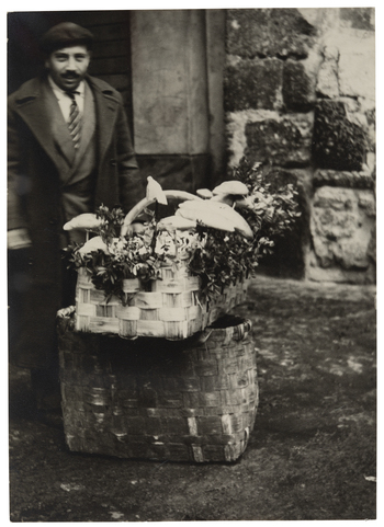 Fotograf: Neander, Hanna, Copyright: 1