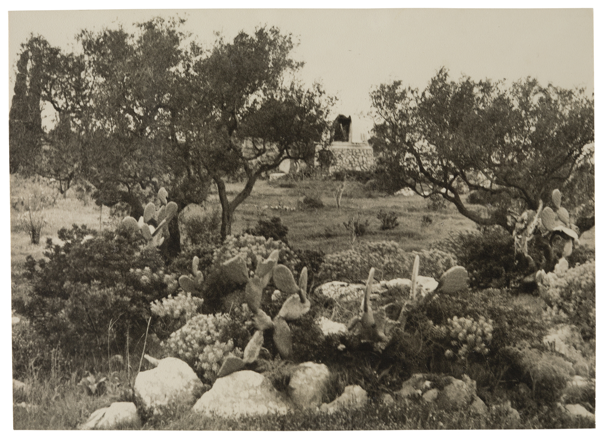 Fotograf: Neander, Hanna, Copyright: 1