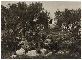 Fotograf: Neander, Hanna, Copyright: 1