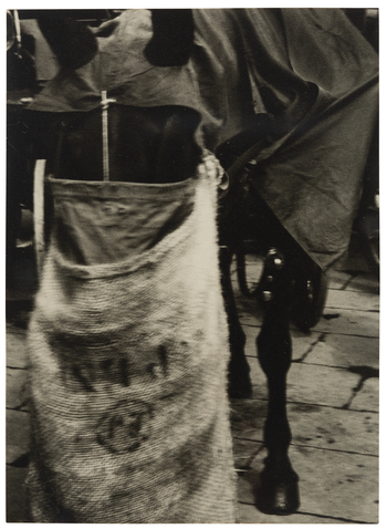 Fotograf: Neander, Hanna, Copyright: 1