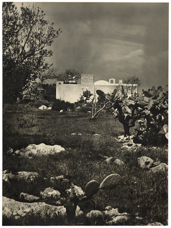 Fotograf: Neander, Hanna, Copyright: 1