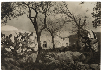 Fotograf: Neander, Hanna, Copyright: 1