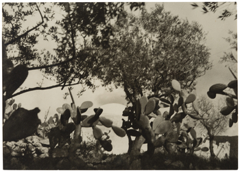 Fotograf: Neander, Hanna, Copyright: 1