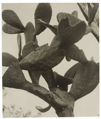 Fotograf: Neander, Hanna, Copyright: 1