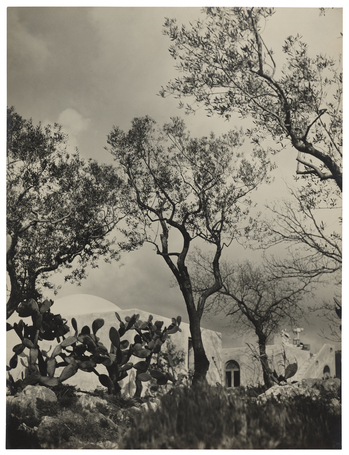 Fotograf: Neander, Hanna, Copyright: 1