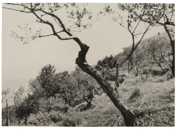 Fotograf: Neander, Hanna, Copyright: 1