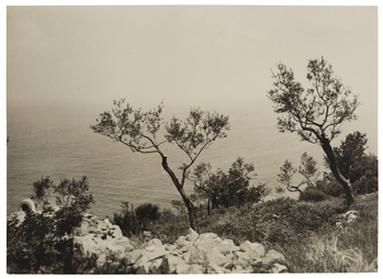 Fotograf: Neander, Hanna, Copyright: 1