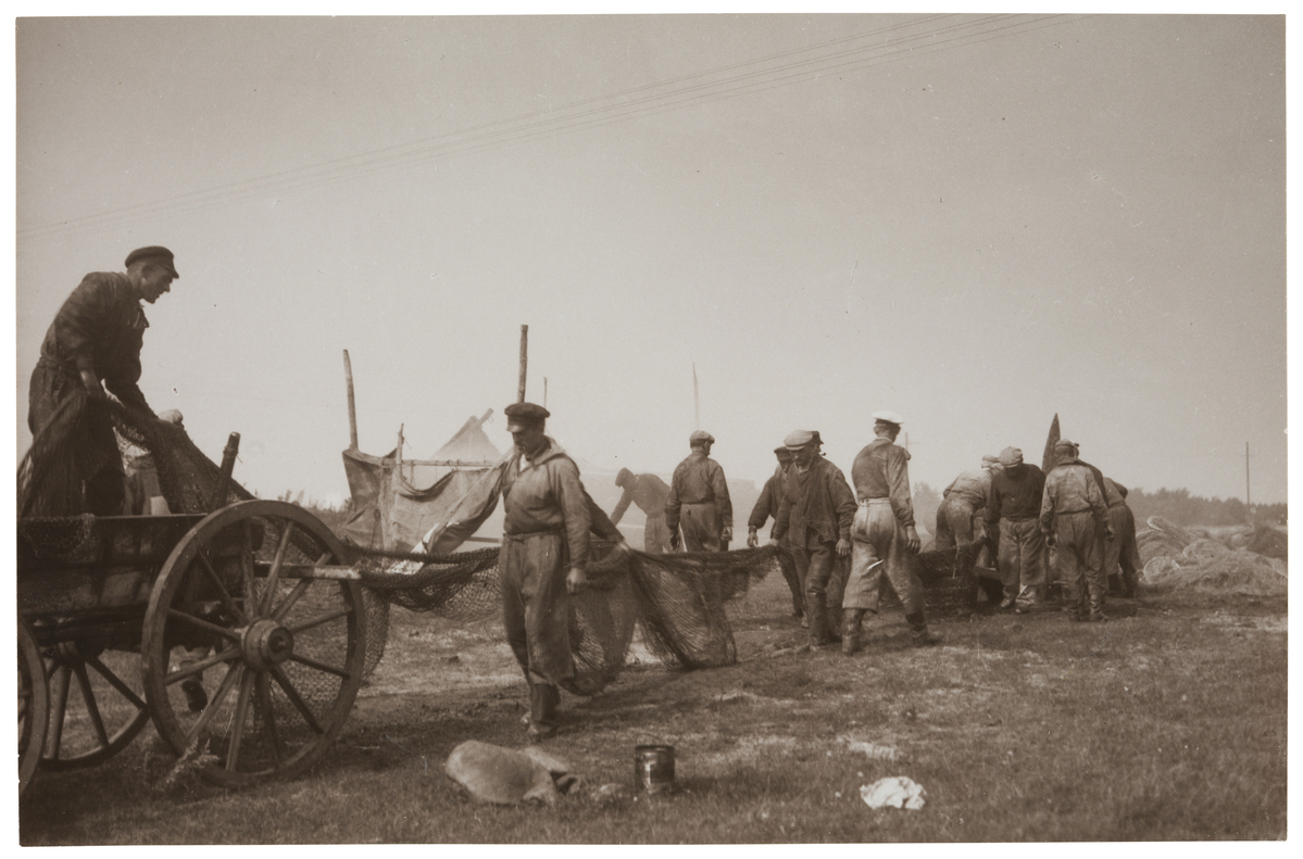 Fotograf: Neander, Hanna, Copyright: 1