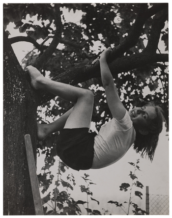 Fotograf: Neander, Hanna, Copyright: 1