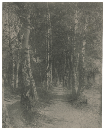 Fotograf: Neander, Hanna, Copyright: 1