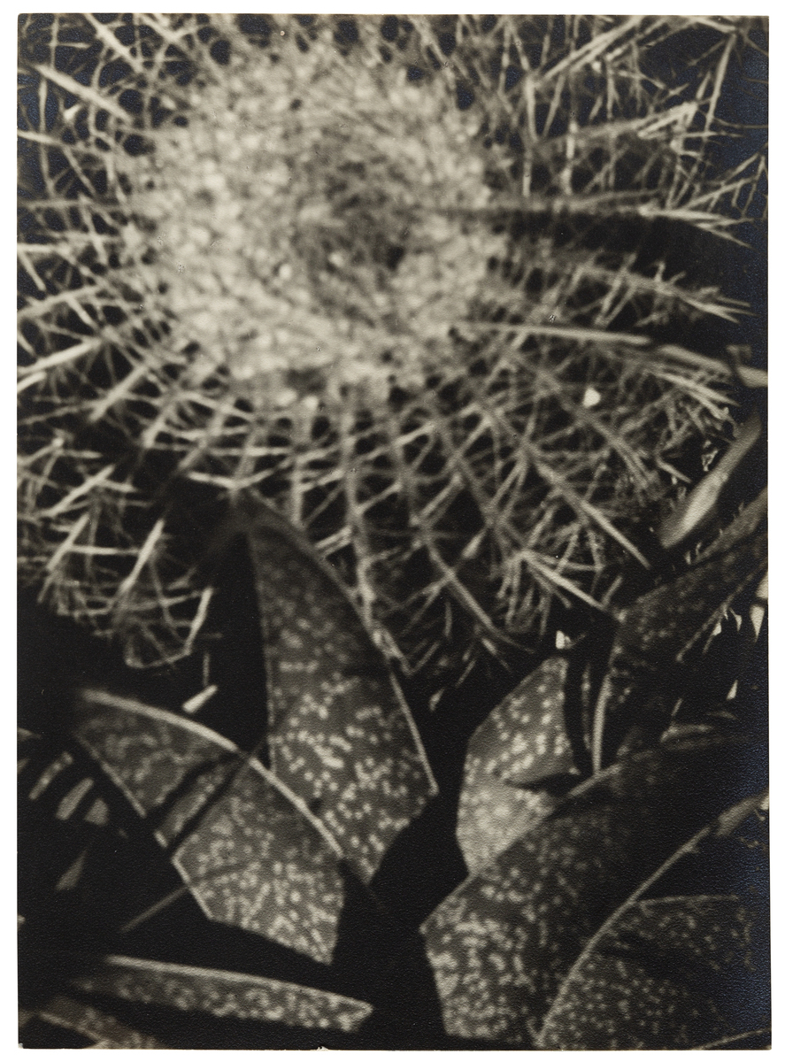 Fotograf: Neander, Hanna, Copyright: 1