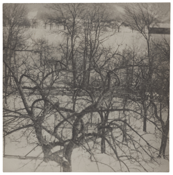 Fotograf: Neander, Hanna, Copyright: 1