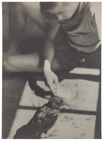 Fotograf: Neander, Hanna, Copyright: 1