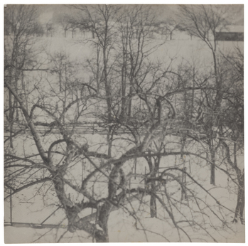 Fotograf: Neander, Hanna, Copyright: 1