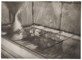 Fotograf: Neander, Hanna, Copyright: 1