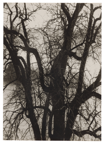 Fotograf: Neander, Hanna, Copyright: 1