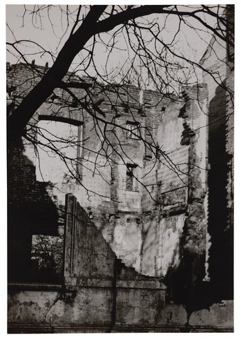 Fotograf: Neander, Hanna, Copyright: 1