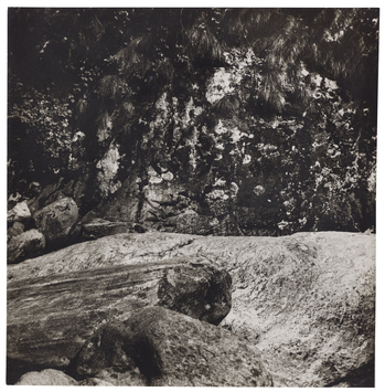 Fotograf: Neander, Hanna, Copyright: 1