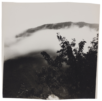 Fotograf: Neander, Hanna, Copyright: 1