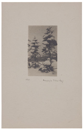 Fotograf: Neander, Hanna, Copyright: 1