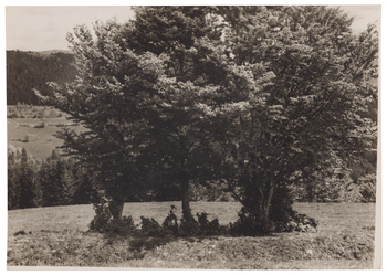 Fotograf: Neander, Hanna, Copyright: 1