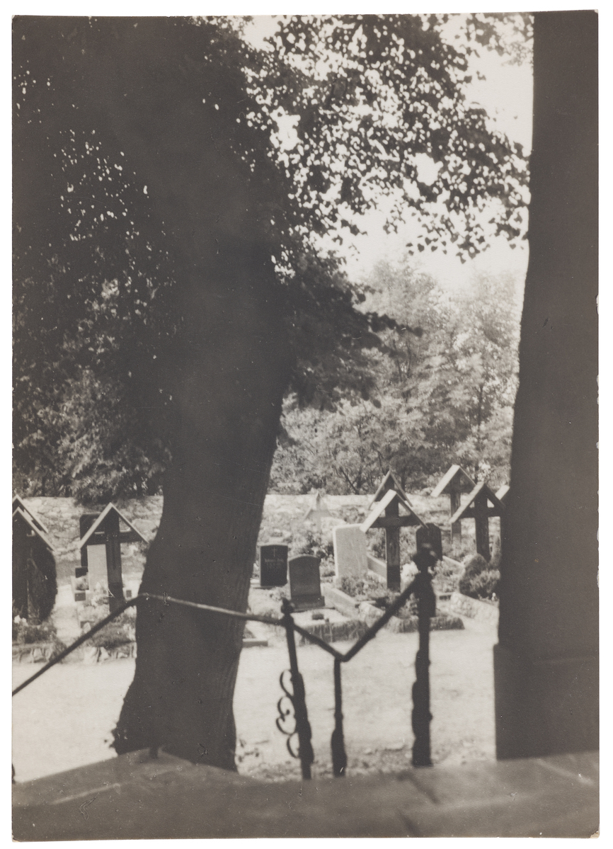 Fotograf: Neander, Hanna, Copyright: 1