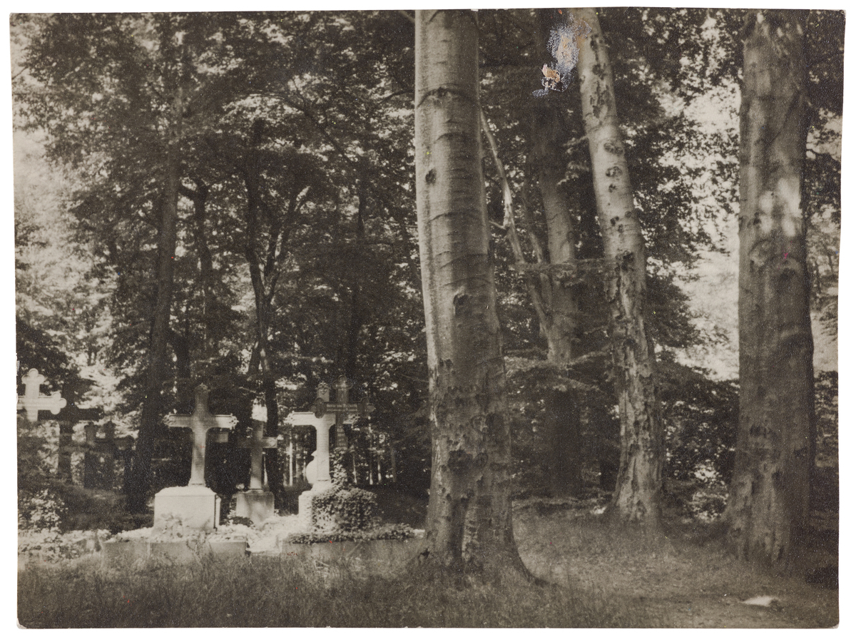 Fotograf: Neander, Hanna, Copyright: 1