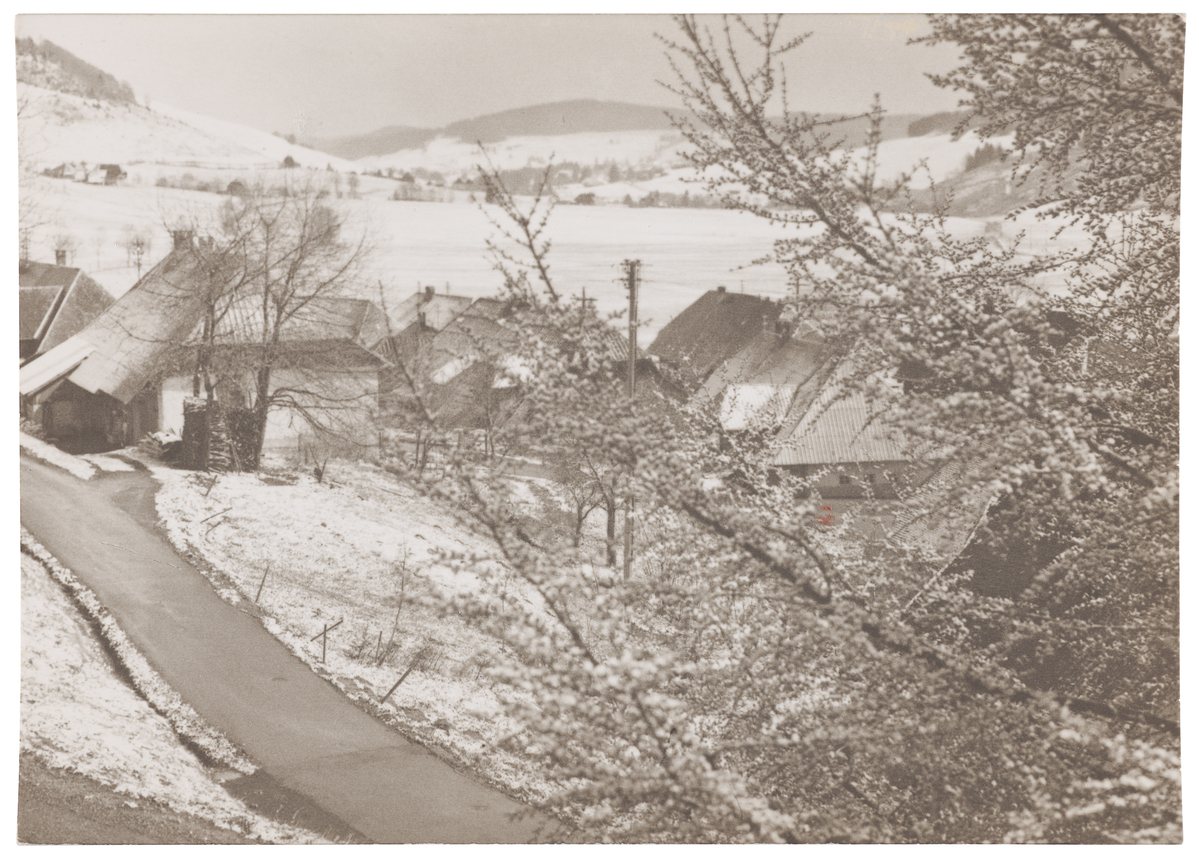 Fotograf: Neander, Hanna, Copyright: 1