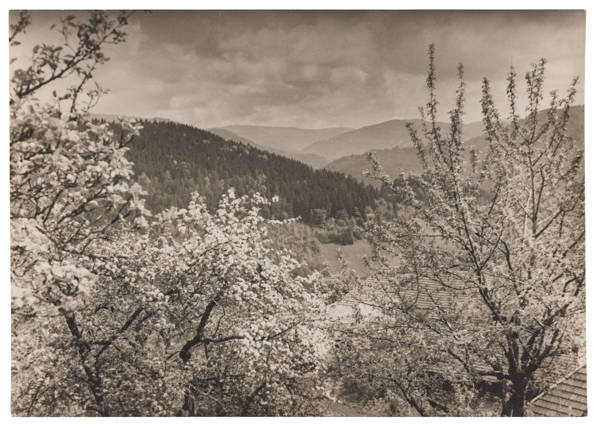 Fotograf: Neander, Hanna, Copyright: 1