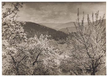 Fotograf: Neander, Hanna, Copyright: 1