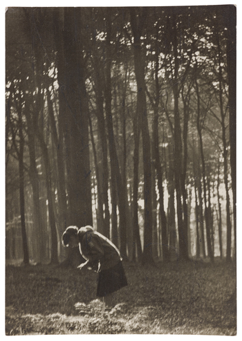 Fotograf: Neander, Hanna, Copyright: 1