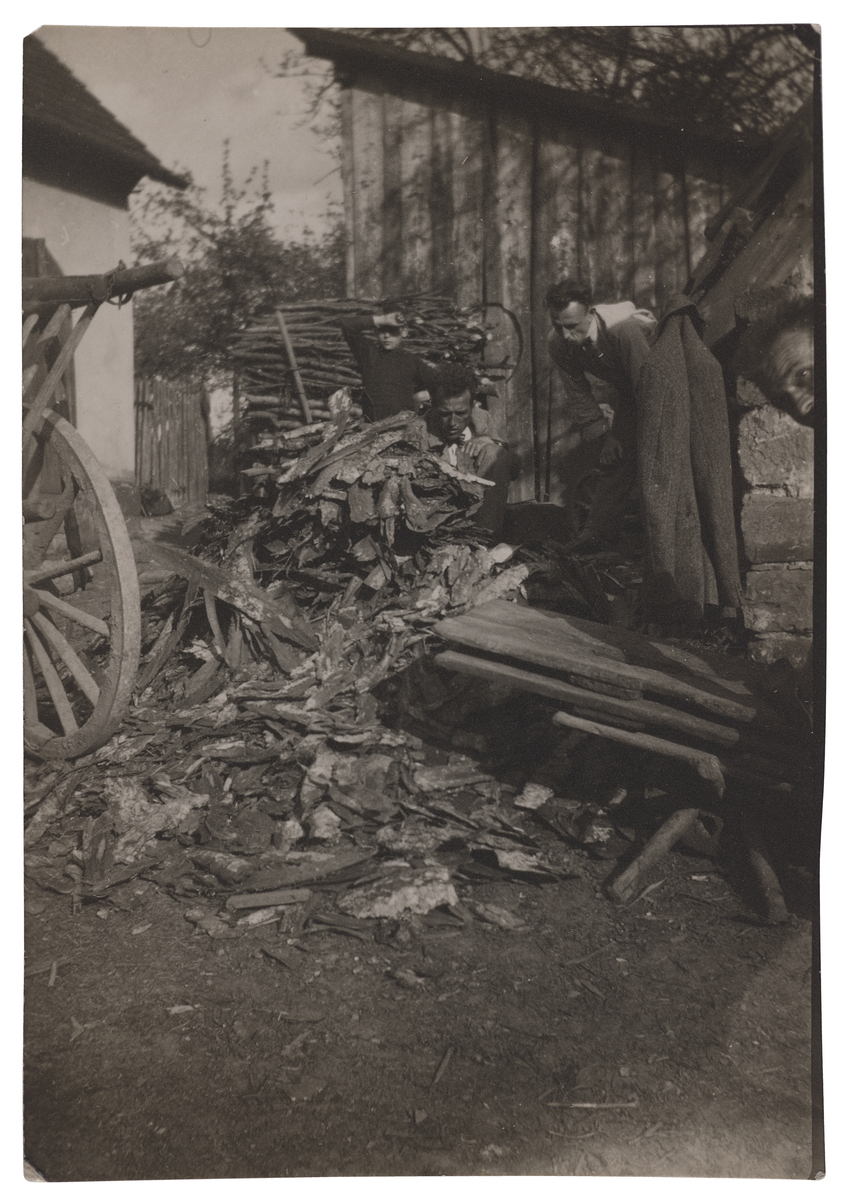 Fotograf: Neander, Hanna, Copyright: 1