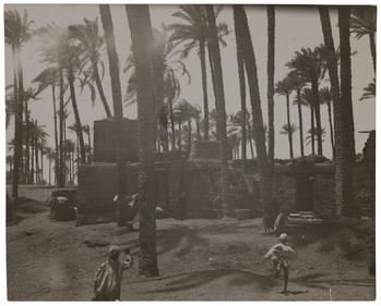 Fotograf: Neander, Hanna, Copyright: 1